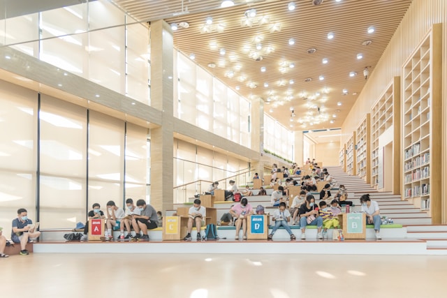 Selmoravientia imagem 3